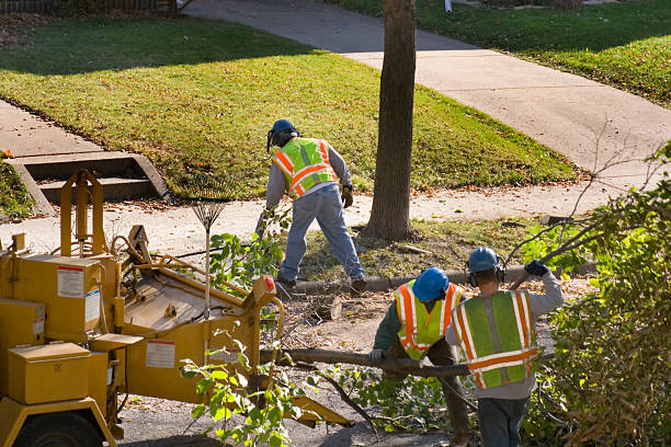  Lynden, WA Tree Removal and Landscaping Services Pros